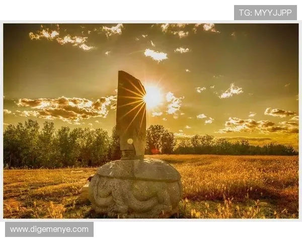 非洲雄狮崛起象征大地力量与生态复兴的壮丽篇章 - 副本 (5) - 副本